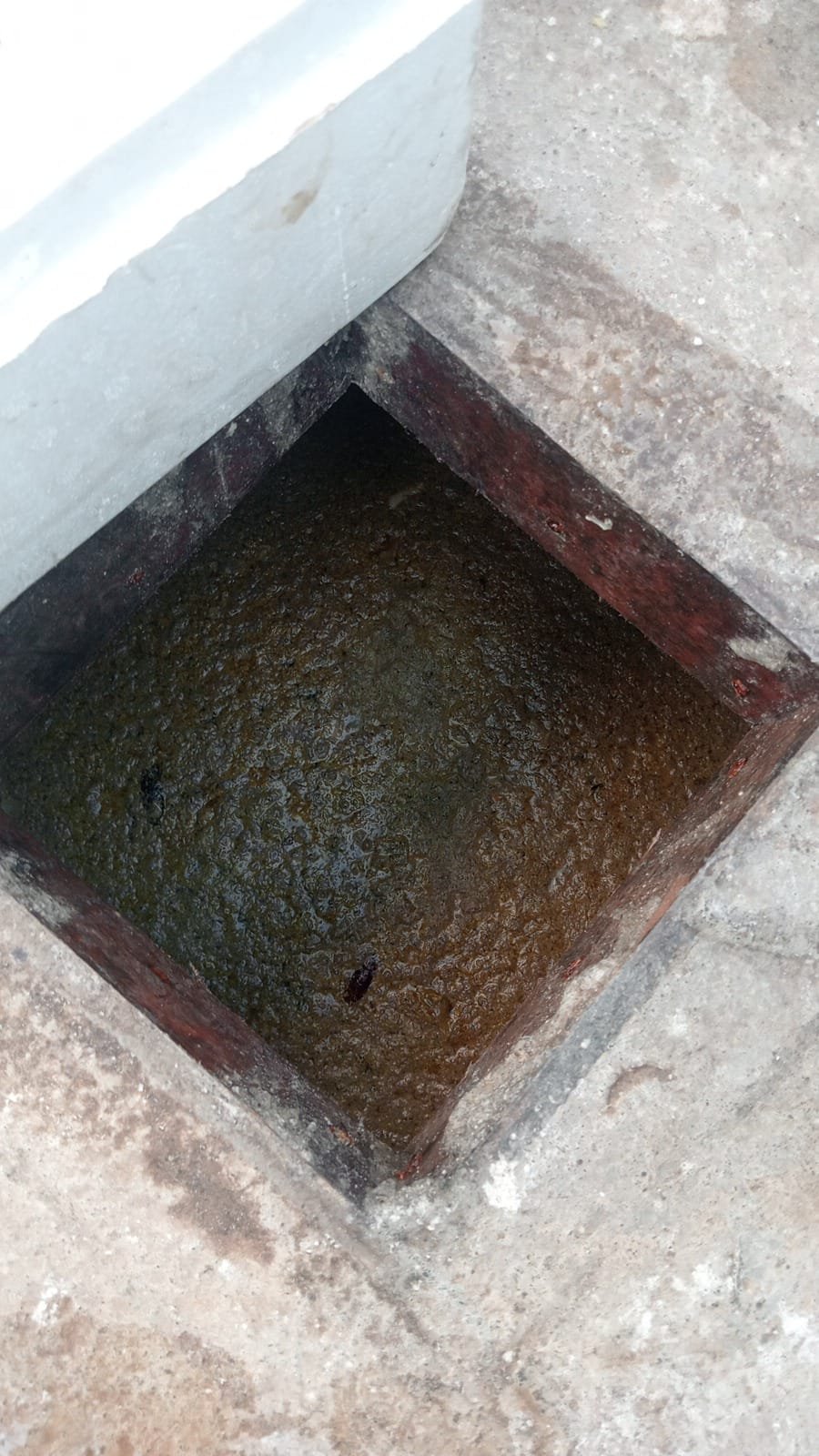 Sedot WC - Pekerjaan 2